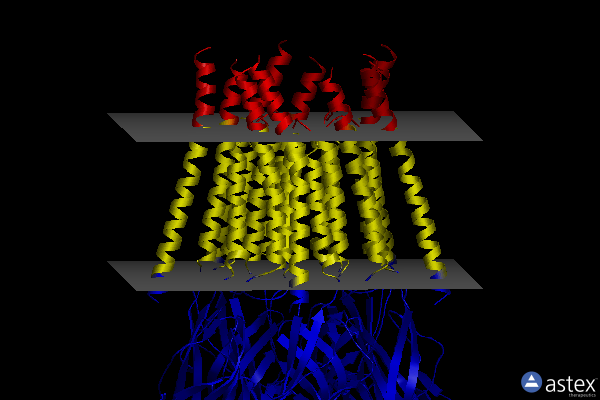 Membrane view of 6ubt