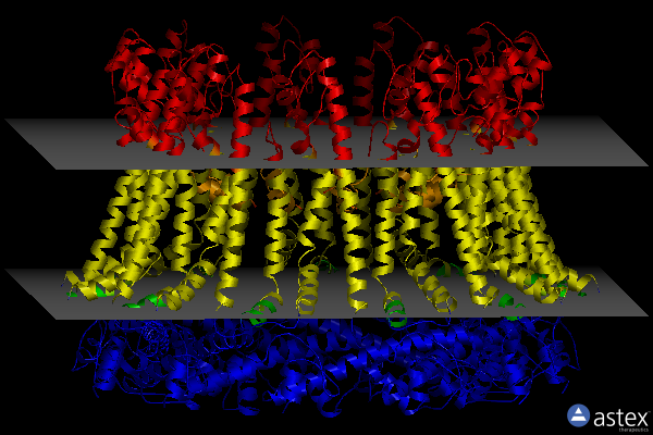 Membrane view of 6uix