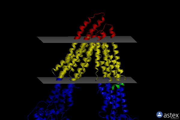 Membrane view of 6ujt