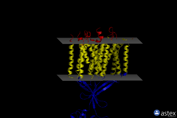 Membrane view of 6uo9
