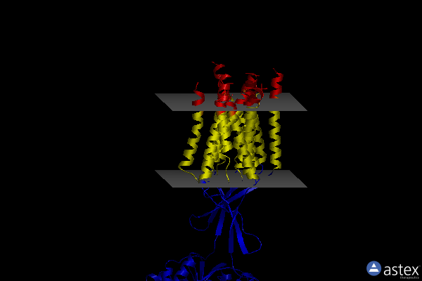 Membrane view of 6uoa