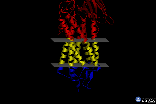 Membrane view of 6up7