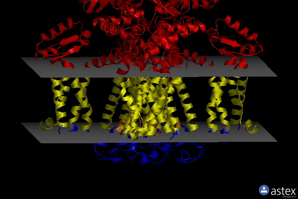 Membrane view of 6uqf
