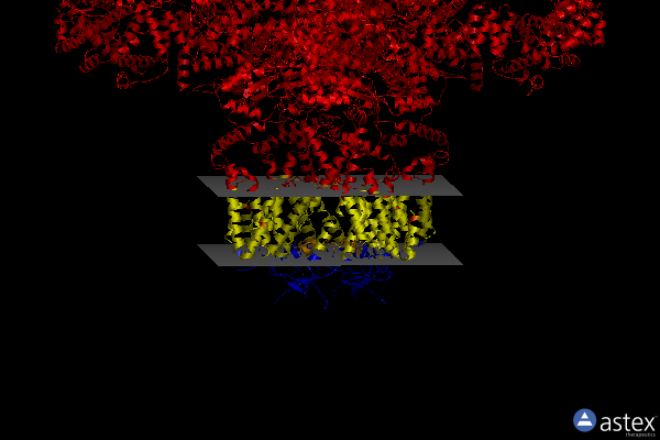 Membrane view of 6uqk