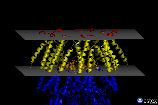 Membrane view of 6urt