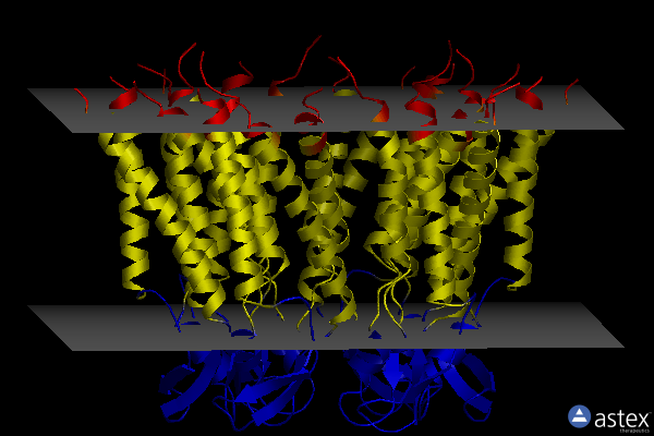 Membrane view of 6uvr