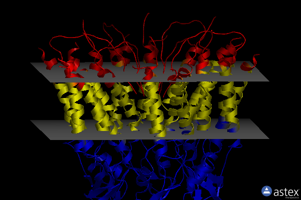 Membrane view of 6uvt
