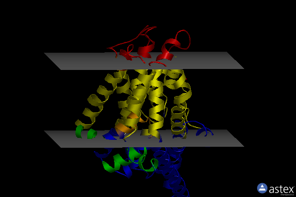 Membrane view of 6uwl
