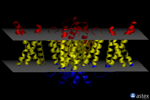 Membrane view of 6uwm