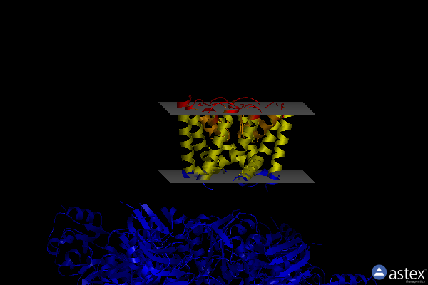 Membrane view of 6uxb