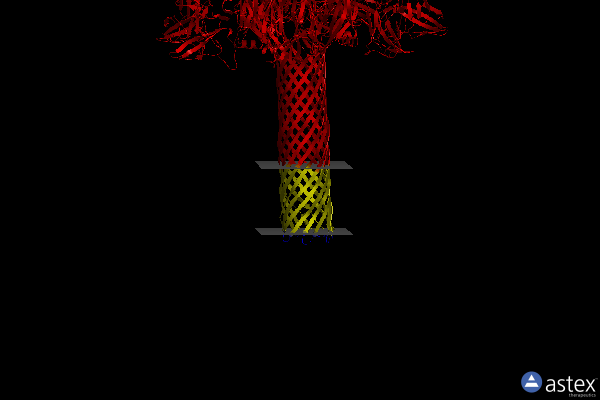 Membrane view of 6uzd