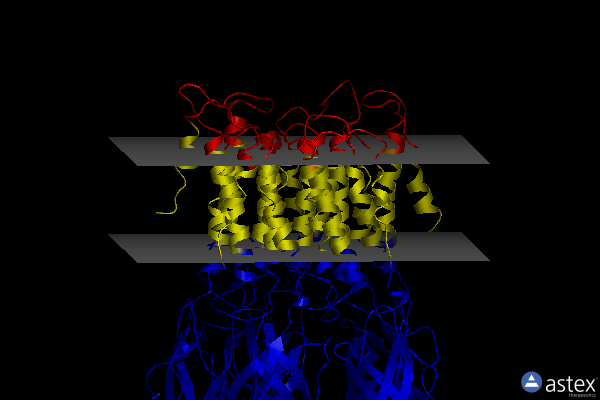 Membrane view of 6v03
