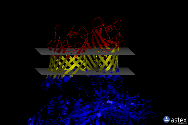 Membrane view of 6v05