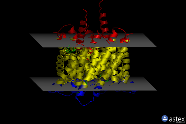 Membrane view of 6v2j