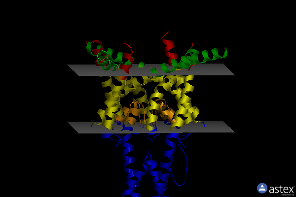 Membrane view of 6v3c