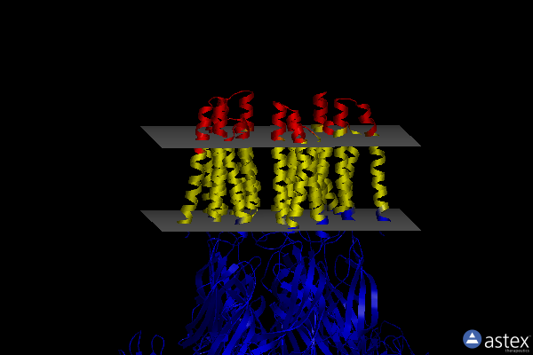 Membrane view of 6v4a