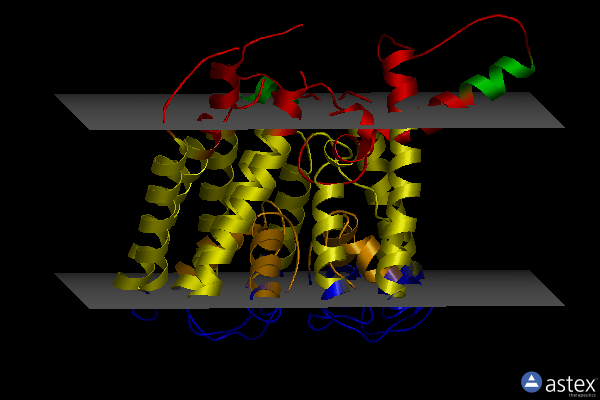 Membrane view of 6v4k