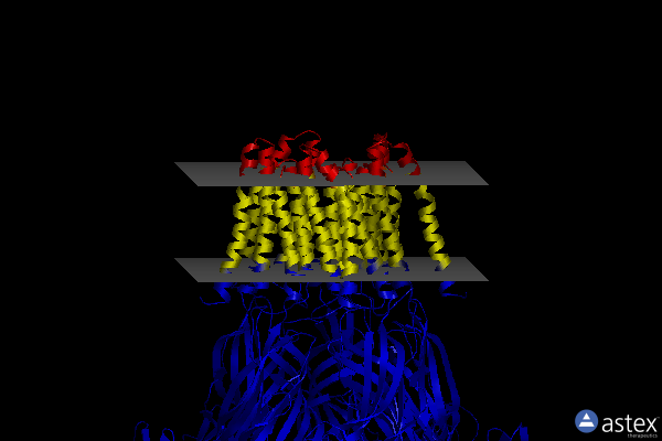 Membrane view of 6v4s