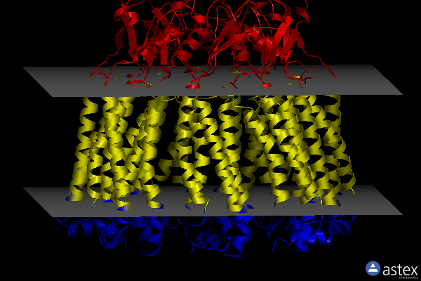 Membrane view of 6v6d