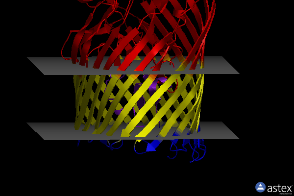 Membrane view of 6v81