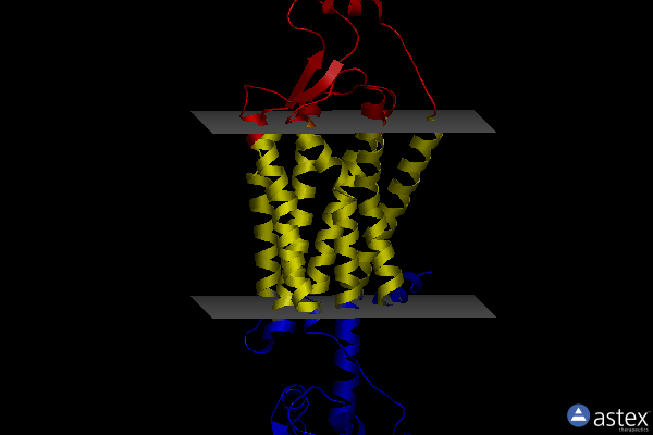 Membrane view of 6v9s