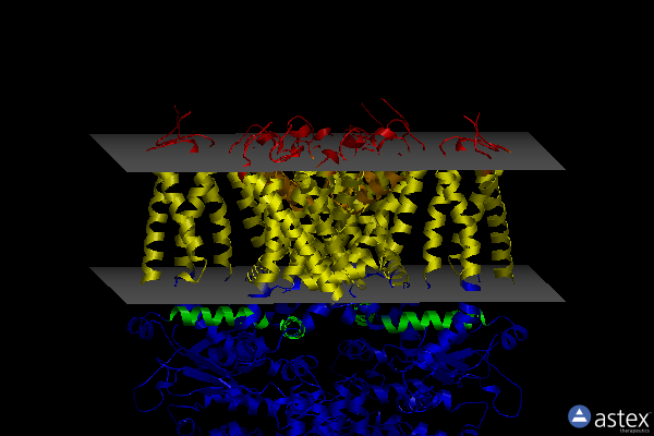 Membrane view of 6v9w