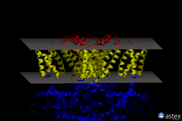 Membrane view of 6v9x