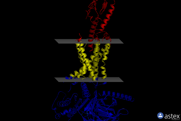 Membrane view of 6vcb