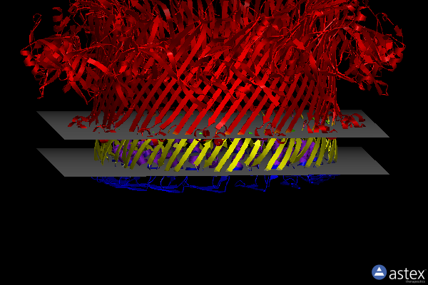 Membrane view of 6ve2