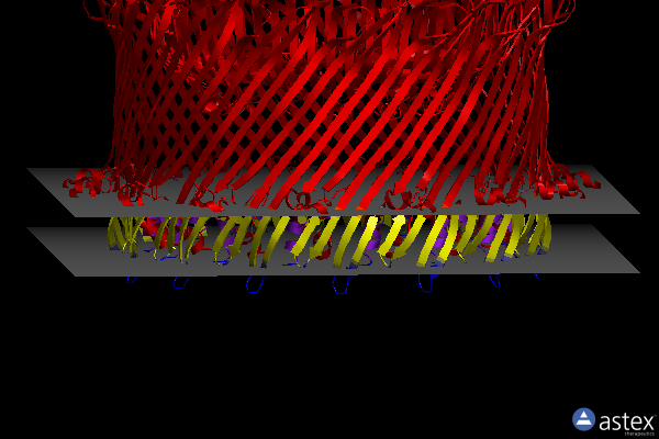 Membrane view of 6ve4