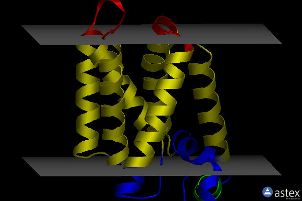 Membrane view of 6vj9