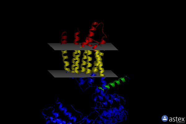 Membrane view of 6vjy