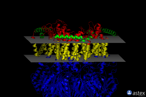 Membrane view of 6vkt