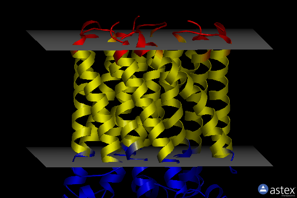 Membrane view of 6vl4