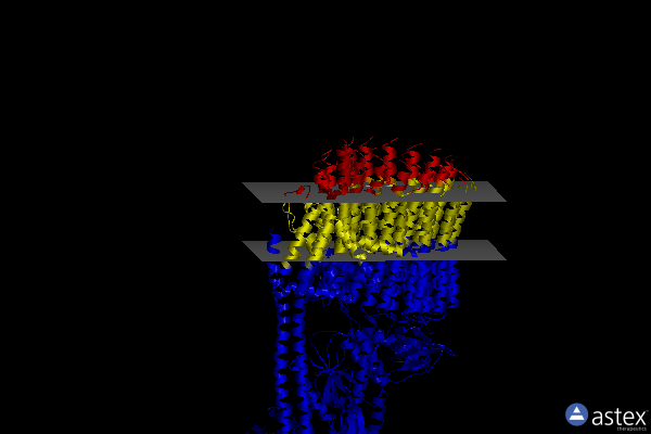 Membrane view of 6vmg
