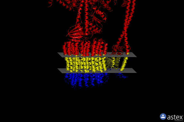 Membrane view of 6vof