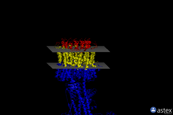 Membrane view of 6voh