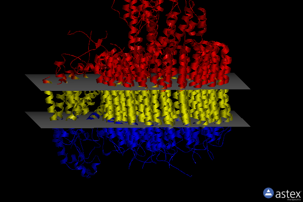 Membrane view of 6vqh