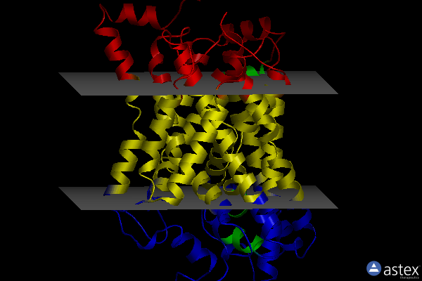 Membrane view of 6vrk