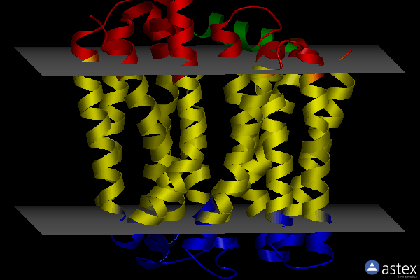 Membrane view of 6vrz