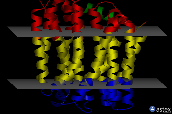 Membrane view of 6vs0