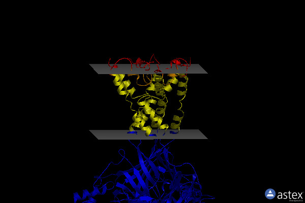 Membrane view of 6vtl