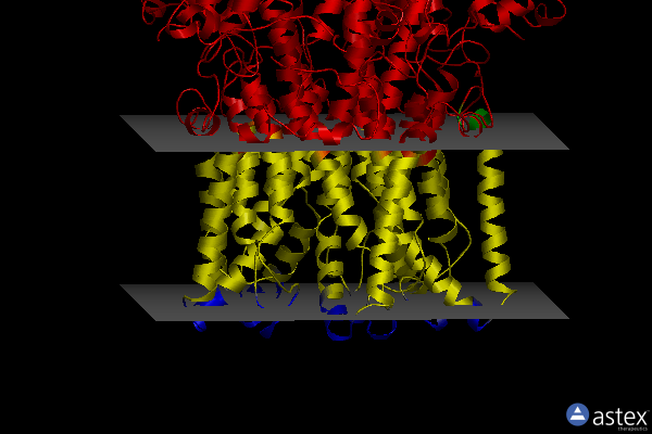 Membrane view of 6vx7
