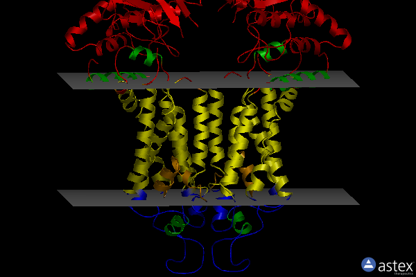 Membrane view of 6vxj