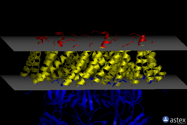 Membrane view of 6vxn
