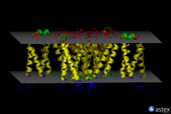 Membrane view of 6vxo