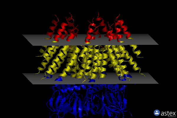 Membrane view of 6vxp
