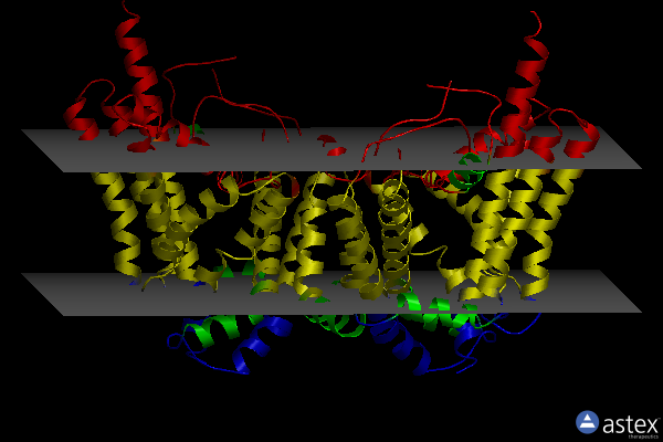 Membrane view of 6vyi