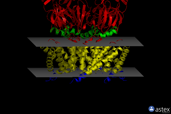 Membrane view of 6vyl