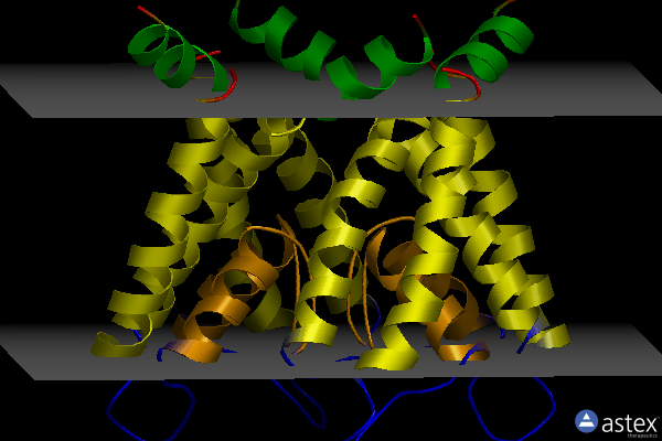 Membrane view of 6w0b